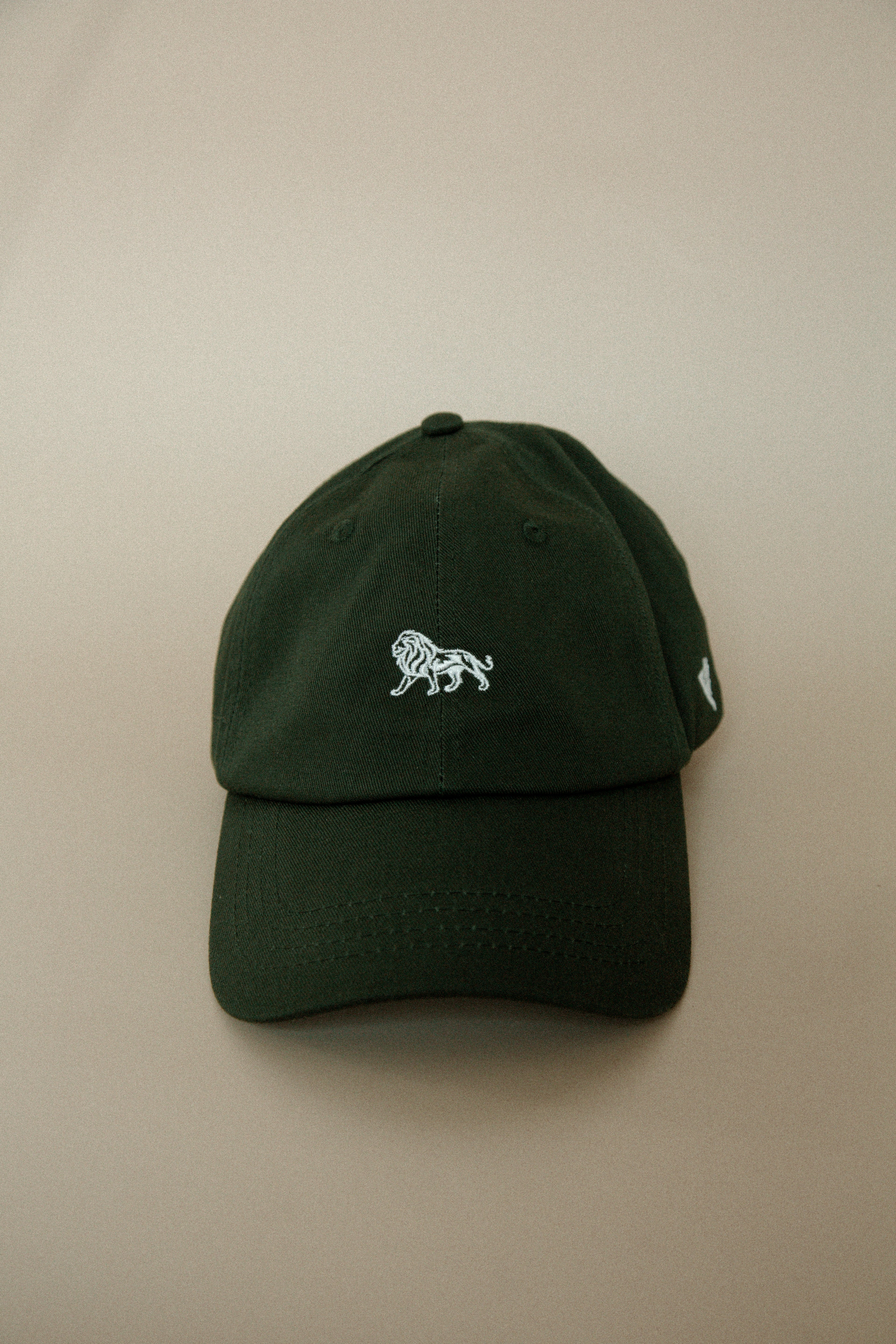 Lion Icon Hat