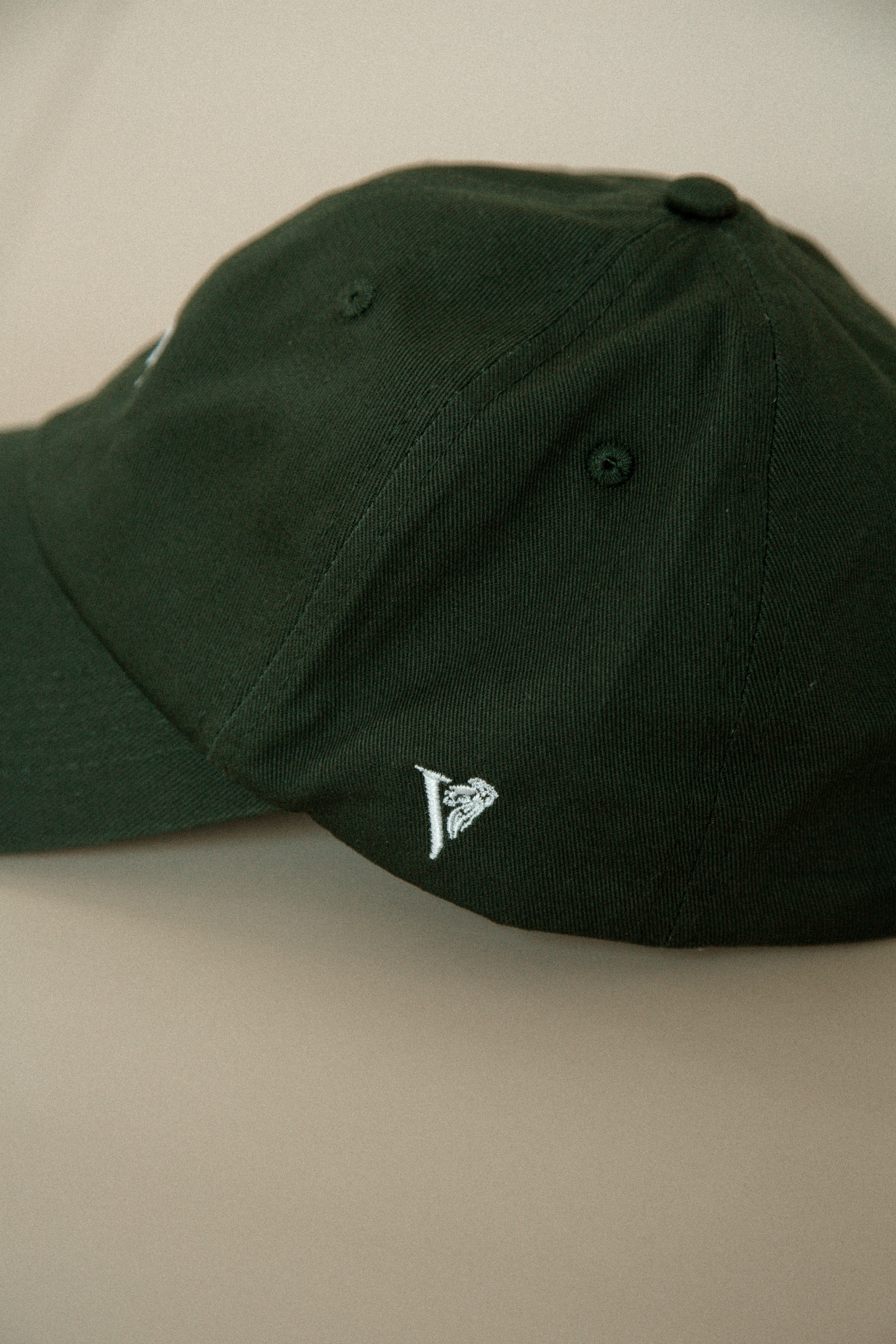Lion Icon Hat
