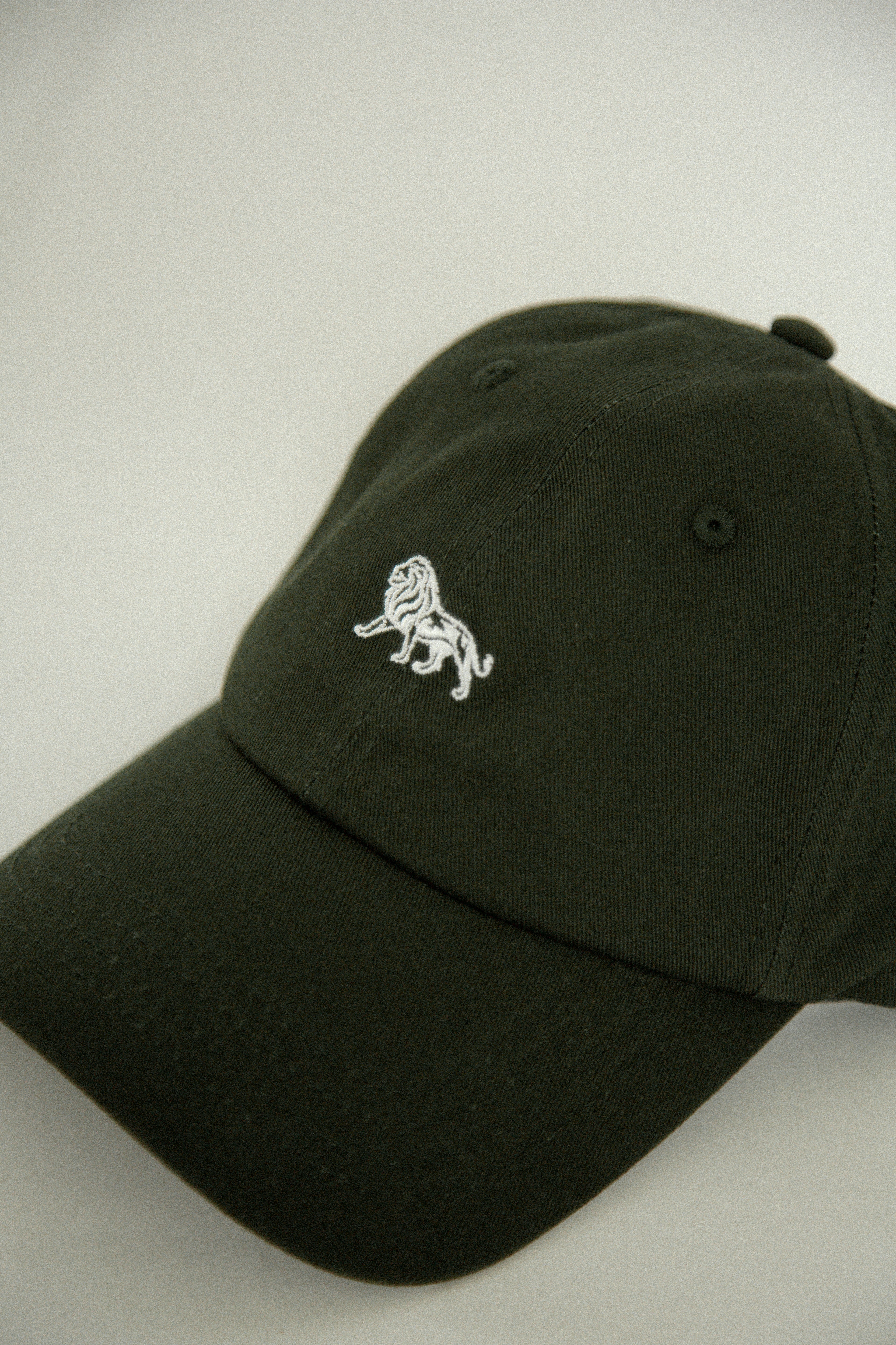 Lion Icon Hat