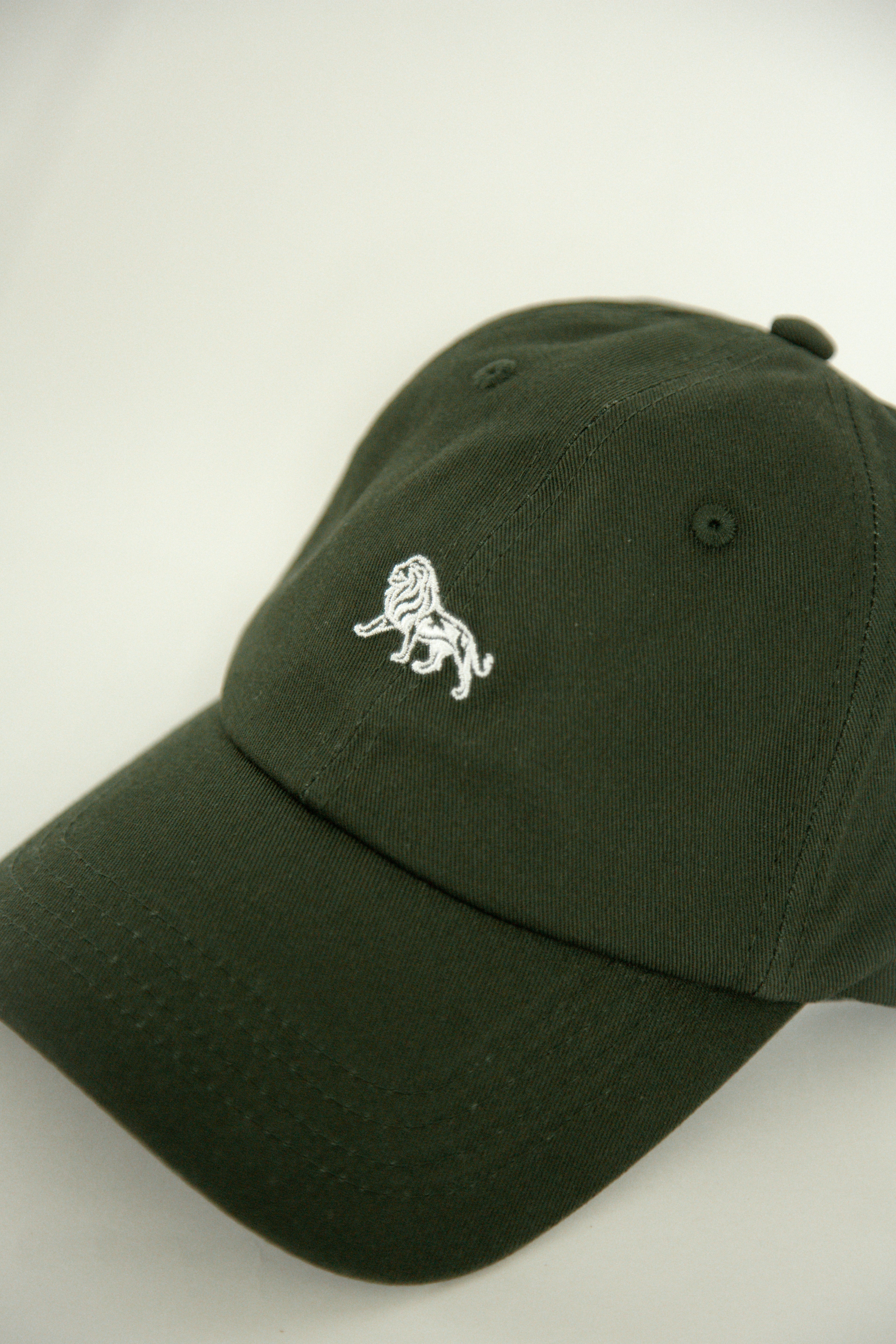 Lion Icon Hat