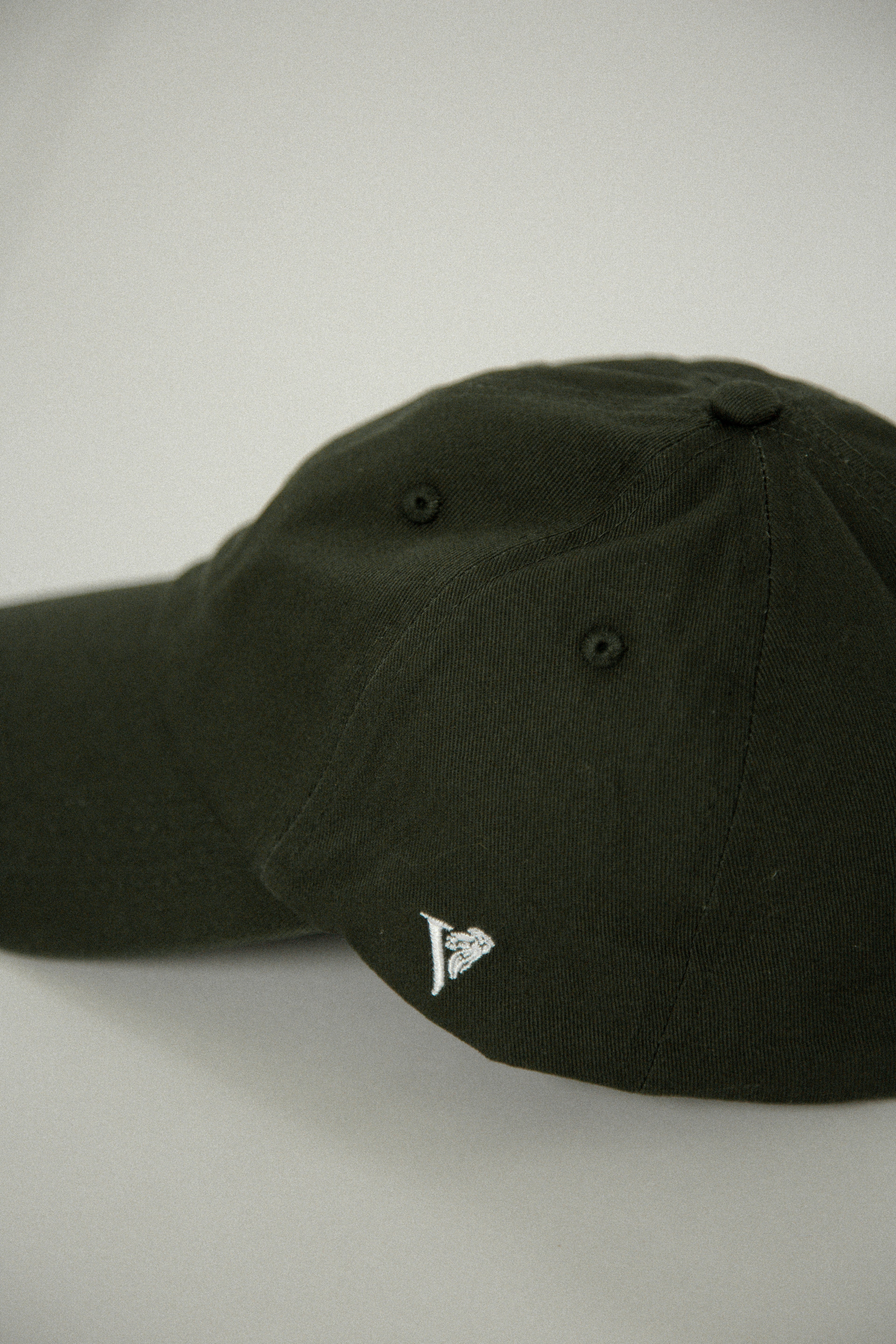 Lion Icon Hat