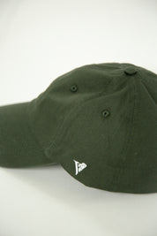 Lion Icon Hat