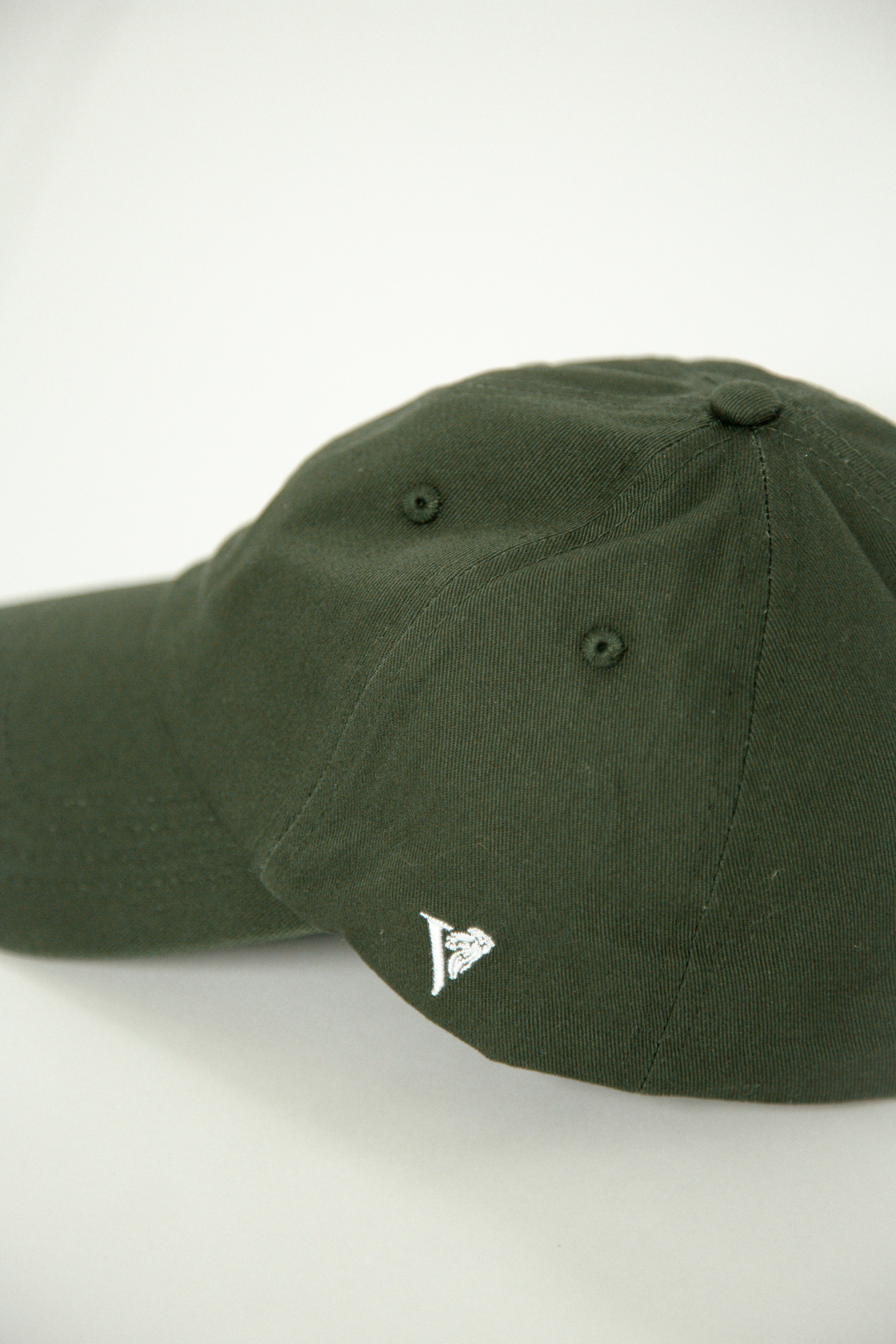 Lion Icon Hat