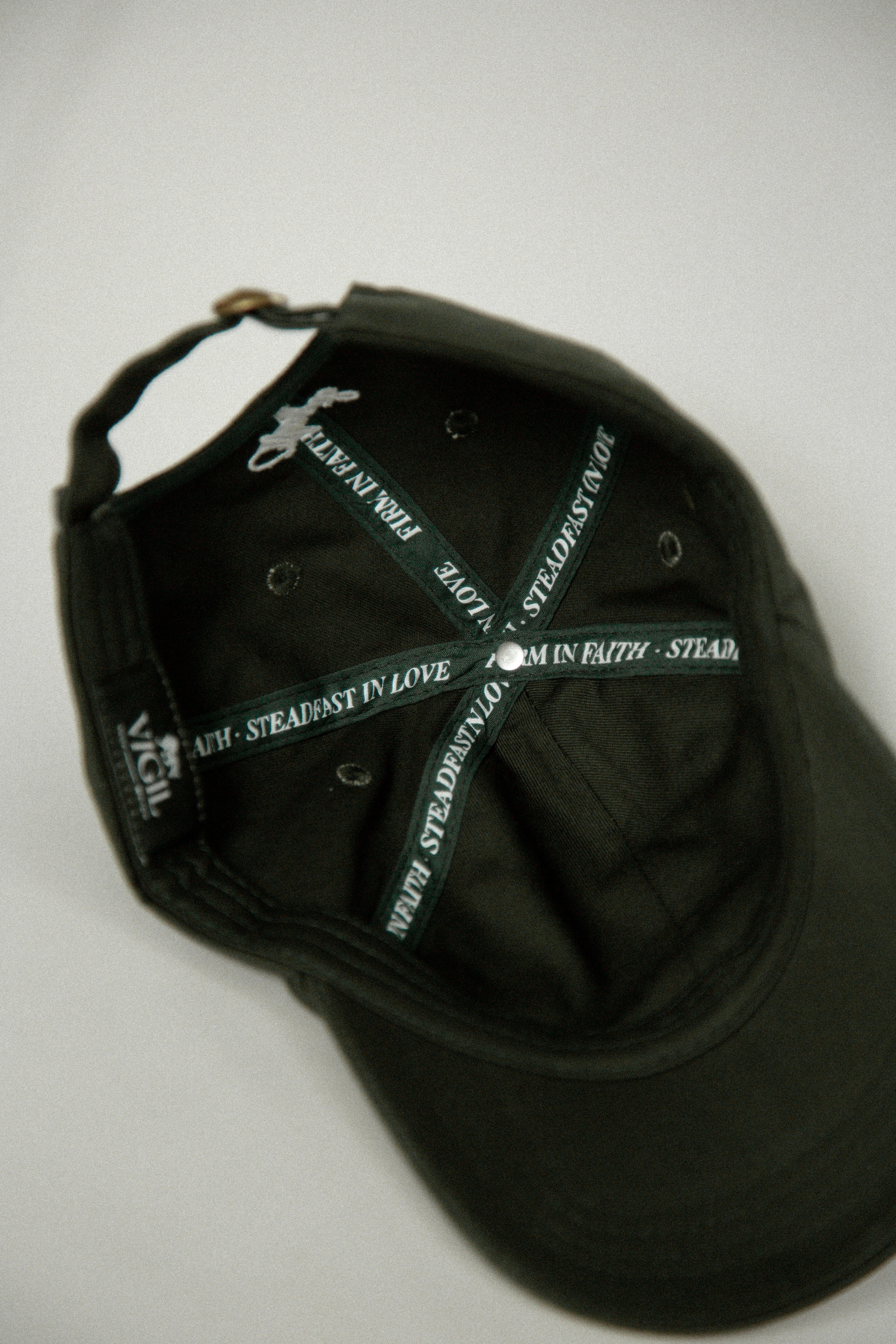 Lion Icon Hat
