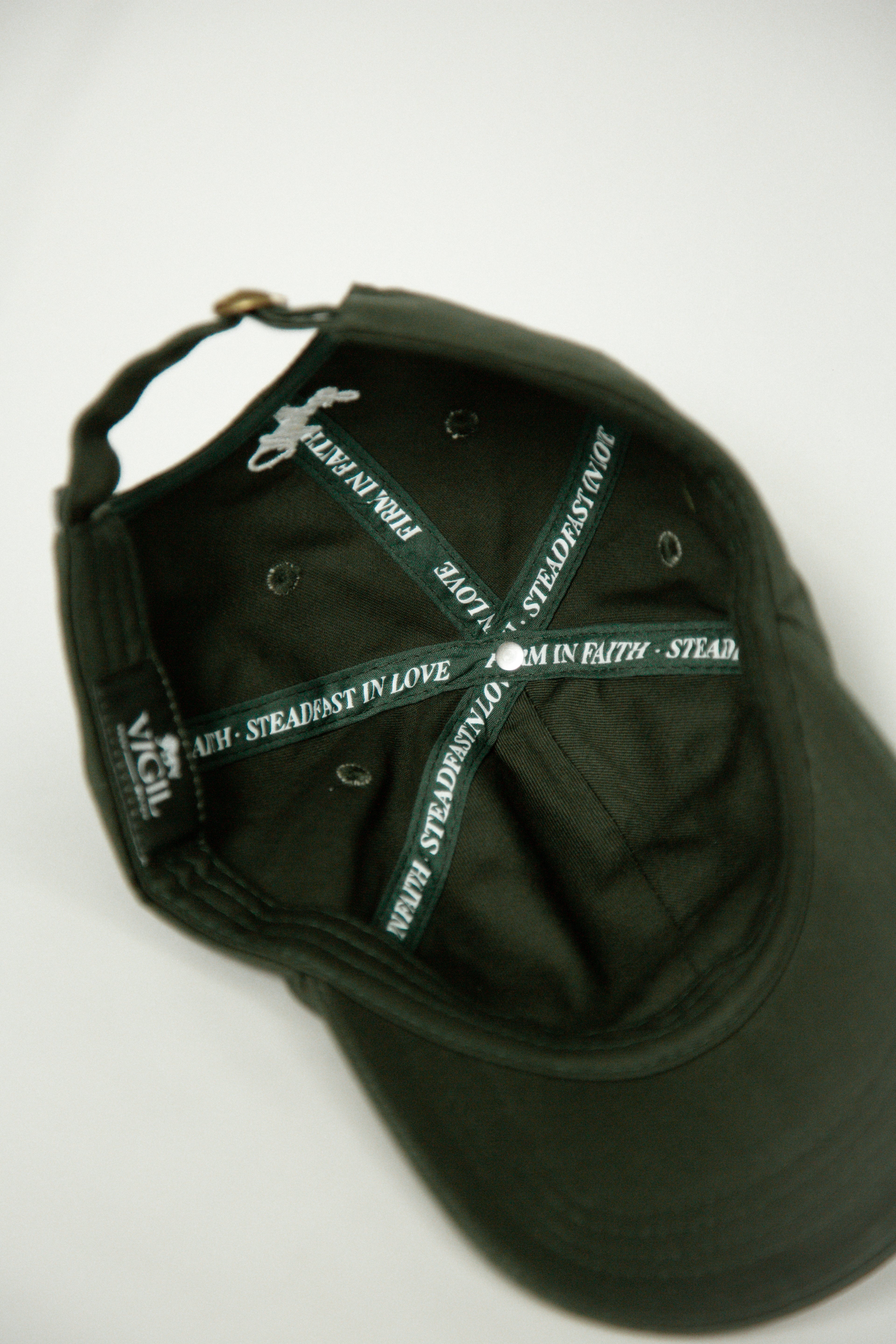 Lion Icon Hat